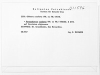 Image Associated With the Occurrence